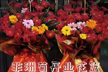 洛阳偃师市开业花篮